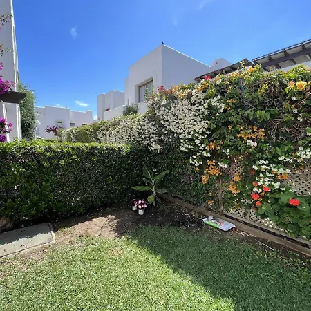 Apartment - Playa - 2 Y Terrazas Con Jardines Al Lado Del Mar Pa25 *